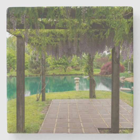 Dessous-de-verre En Pierre Pergola De Wisteria (Devant)