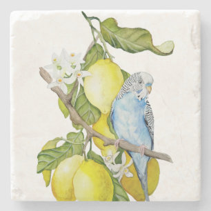 Dessous-de-verre En Pierre Perroquet bleu dans un citronnier Art botanique à 