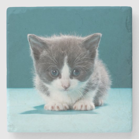 Dessous-de-verre En Pierre Petit chaton (Devant)