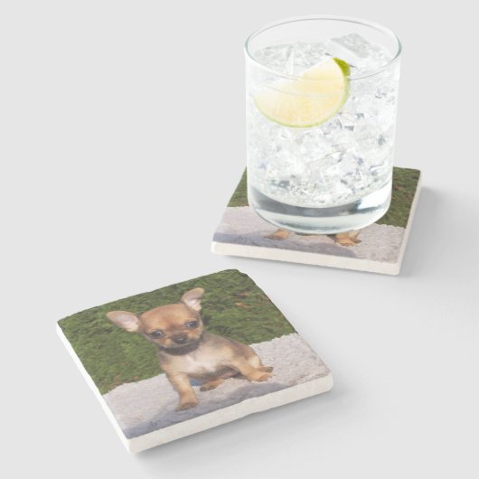 Dessous-de-verre En Pierre Petit Chihuahua Chien chiot mignon (Côté)