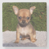 Dessous-de-verre En Pierre Petit Chihuahua Chien chiot mignon (Devant)