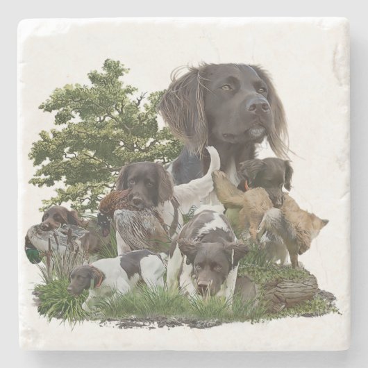 Dessous-de-verre En Pierre Petit Munsterlander (Devant)