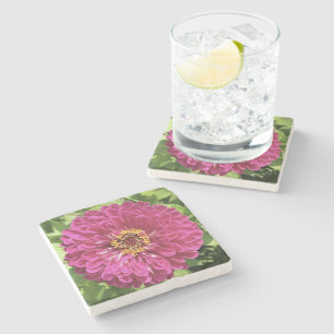 Dessous-de-verre En Pierre Photo de fleur de Zinnia vive
