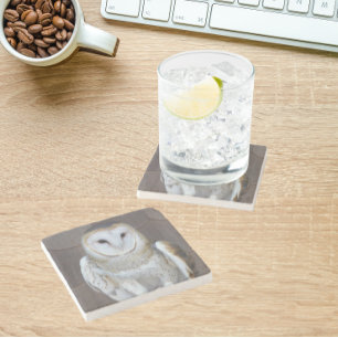 Dessous-de-verre En Pierre Photo de Raptor de Chouette-Barne