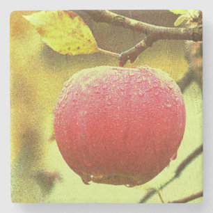 Dessous-de-verre En Pierre Photo "Red Apple". Commandez dès maintenant