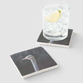 Dessous-de-verre En Pierre Photographie d'autruche (Côté)