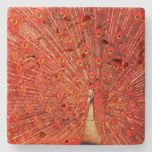 Dessous-de-verre En Pierre Pic Rouge Disposant De Ses Plumes Rouges,