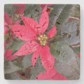 Dessous-de-verre En Pierre Pierre dessous de verre - Pascua (Devant)