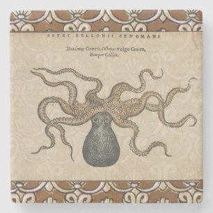 Dessous-de-verre En Pierre Pieuvre Kraken Antique Faune Marine Côtière