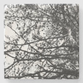 Dessous-de-verre En Pierre PineCones Messy (Devant)