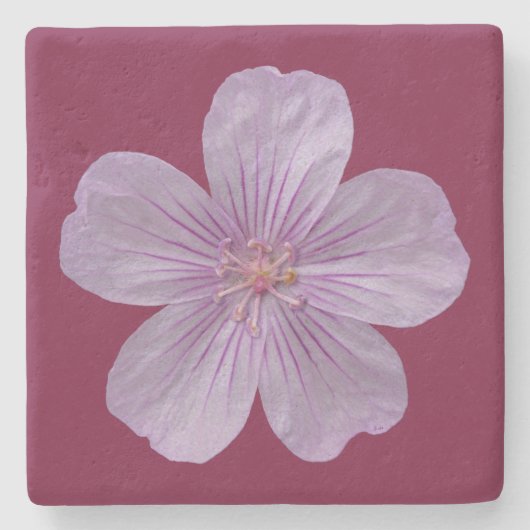 Dessous-de-verre En Pierre Pineywoods Geranium #1 (Devant)
