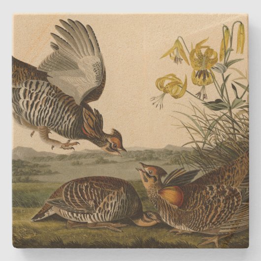 Dessous-de-verre En Pierre Pinnated Grouse (Devant)
