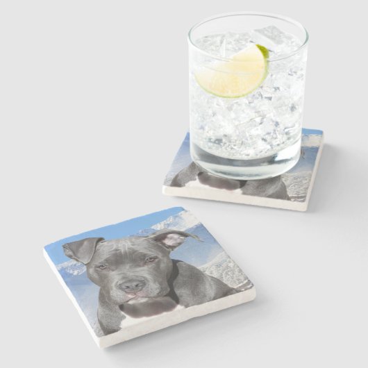 Dessous-de-verre En Pierre Pit Bull (Côté)