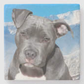 Dessous-de-verre En Pierre Pit Bull (Devant)