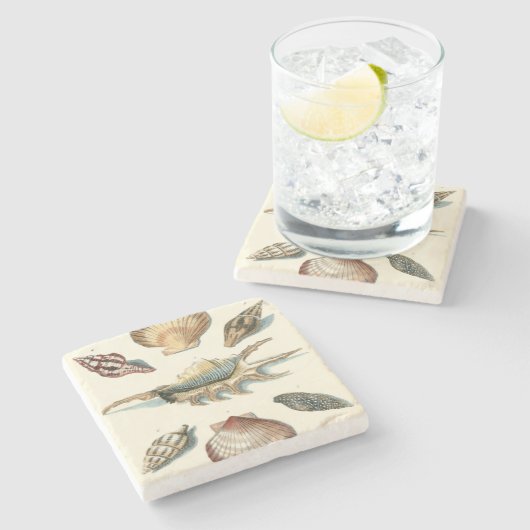 Dessous-de-verre En Pierre Plage de Shell soignée (Côté)