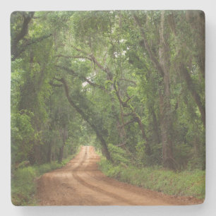 Dessous-de-verre En Pierre Plantation Canopy Road en Géorgie Dessous de verre