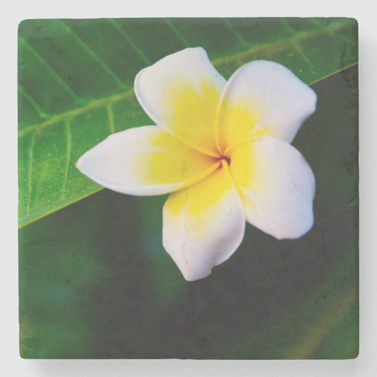 Dessous-de-verre En Pierre plumeria (Devant)
