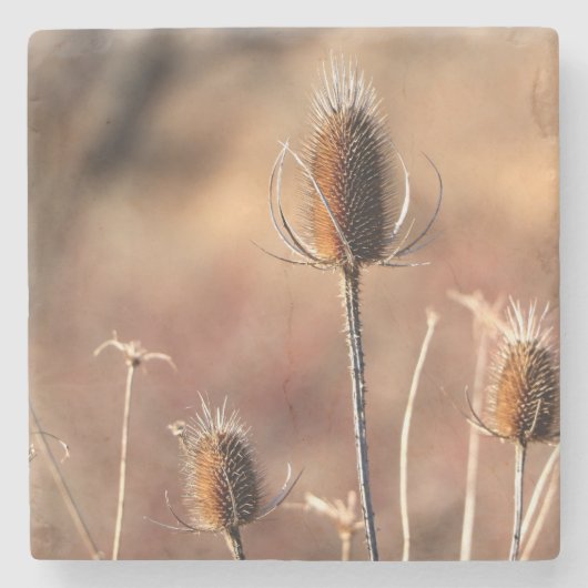 Dessous-de-verre En Pierre Poignée (Devant)