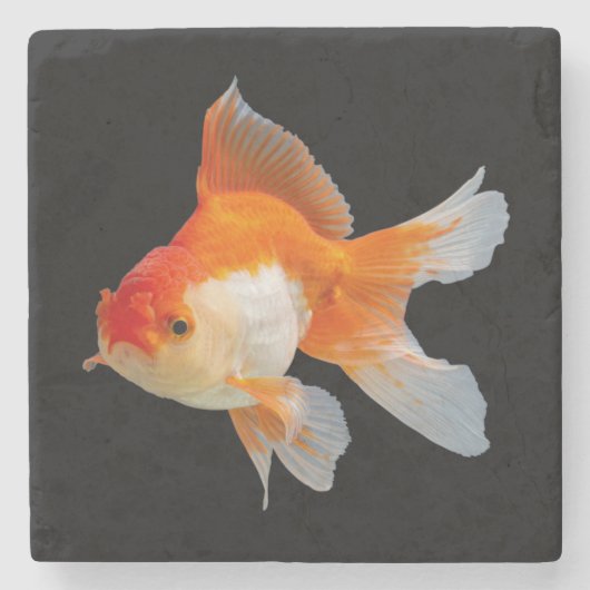 Dessous-de-verre En Pierre Poisson d'or (Devant)