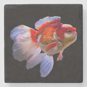 Dessous-de-verre En Pierre Poisson d'or avec Arrière - plan noir