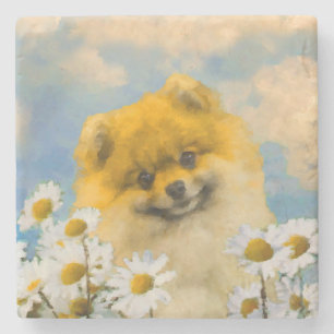 Dessous-de-verre En Pierre Poméranien dans Daisies Peinture - Art Chien origi
