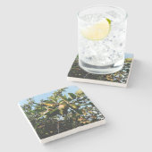 Dessous-de-verre En Pierre Pommes (Côté)