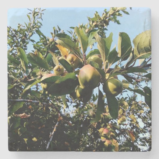 Dessous-de-verre En Pierre Pommes (Devant)