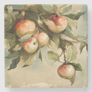 Dessous-de-verre En Pierre Pommes sur une branche