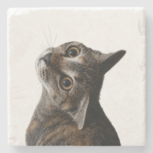 Dessous-de-verre En Pierre Portrait de chat tigré artistique Photo