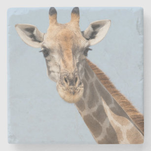 Dessous-de-verre En Pierre Portrait de girafe angolais