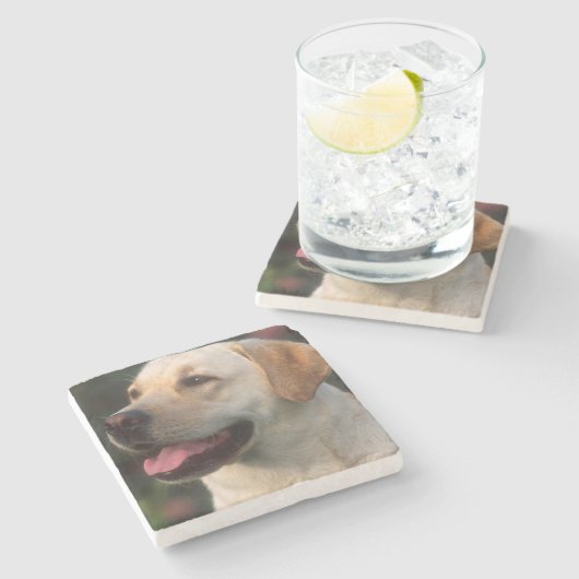 Dessous-de-verre En Pierre Portrait De Labrador Retriever, Hilton (Côté)