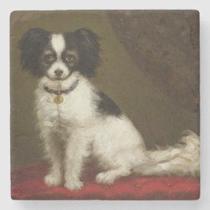 Dessous-de-verre En Pierre Portrait d'un épagneul