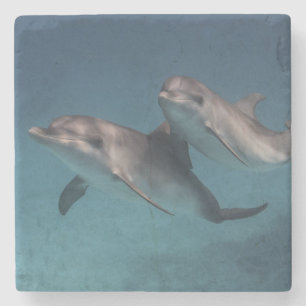 Dessous-de-verre En Pierre Pose espiègle