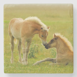 Dessous-de-verre En Pierre Poulains de cheval