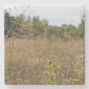 Dessous-de-verre En Pierre Prairies surcultivées