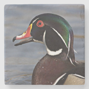 Dessous-de-verre En Pierre Profil d'un Canard branchu