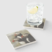 Dessous-de-verre En Pierre Puffins de l'Atlantique sur l'île des phoques Mach (Côté)