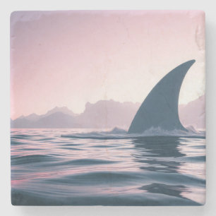Dessous-de-verre En Pierre Puissance de l'Aileron de Requin