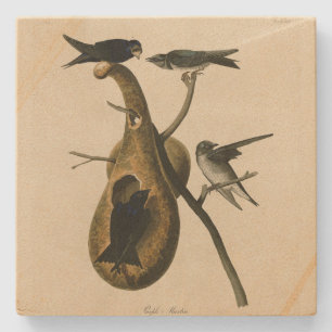 Dessous-de-verre En Pierre Purple Martin de Audubon's Birds of America
