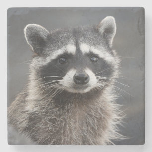 Dessous-de-verre En Pierre Raccoon Portrait Dessous de verre en pierre