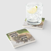 Dessous-de-verre En Pierre Racoon (Côté)