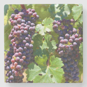 Dessous-de-verre En Pierre Raisins