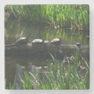 Dessous-de-verre En Pierre Rangée de tortues photo de la nature verte