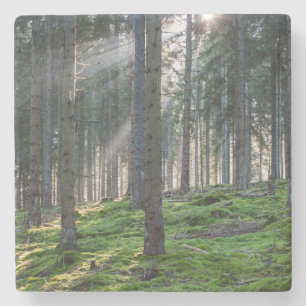Dessous-de-verre En Pierre Rayons de soleil dans la Forêt-Noire