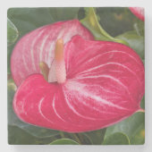 Dessous-de-verre En Pierre Red Anthurium Bloom Floral (Devant)