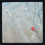 Dessous-de-verre En Pierre Red Cardinal dans Winter Nature Photo de Christmas<br><div class="desc">Un dessous de verre avec une photo nature pittoresque avec un cardinal rouge vif. Contrasté par rapport à un arrière-plan hivernal extérieur avec la neige tombant doucement vers le bas.</div>