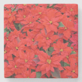 Dessous-de-verre En Pierre Red Poinsettias I Christmas Holiday Floral Photo (Devant)