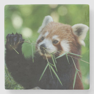 Dessous-de-verre En Pierre RedPanda 002