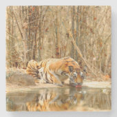 Dessous-de-verre En Pierre Réflexion du tigre (Devant)