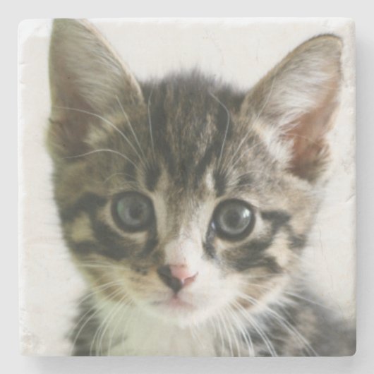 Dessous-de-verre En Pierre Regard fixe de chaton (Devant)